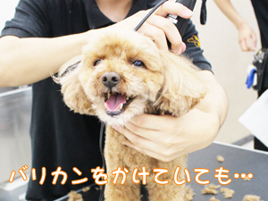 ☆カメラ目線特集☆